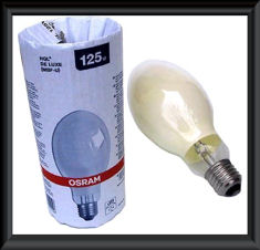 ampoule hql.jpg - 38508 Bytes